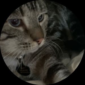 Meet your Posher, Kim